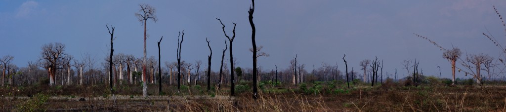 Panorama Madagaskaru - kliknij aby powiększyć
